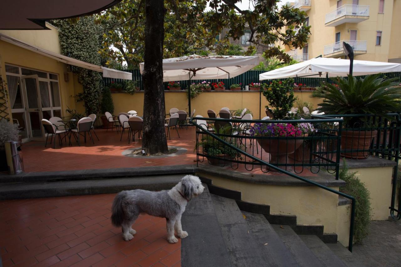 Serena Hotel